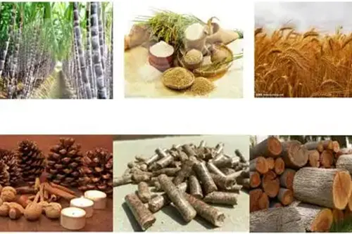 How to Choose the Right Fuel for a Biomass Boiler